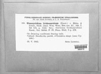 Image Associated With the Occurence